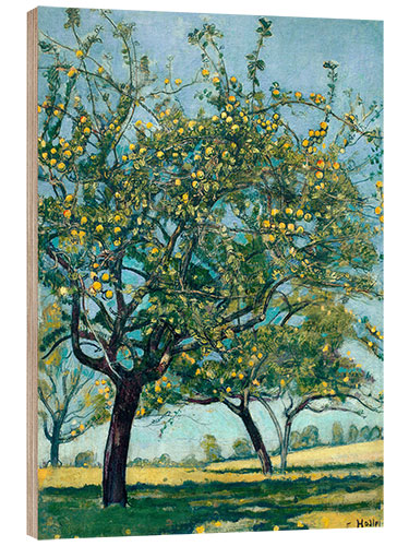 Wood print Paddock with apple trees