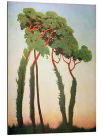 Magnettafel Letzte Sonnenstrahlen