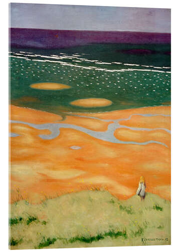 Acrylglas print High tide near Houlgate