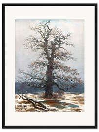 Gerahmter Kunstdruck Eiche im Schnee