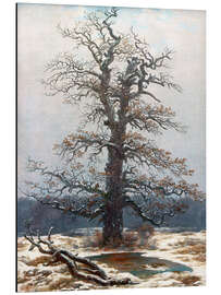 Magnettafel Eiche im Schnee