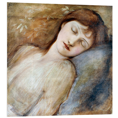 Foam board print Sleeping Princess