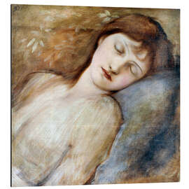 Magnettafel Schlafende Prinzessin