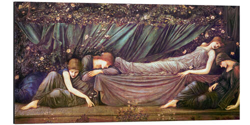 Tableau en aluminium Belle au bois dormant - Le berceau de roses