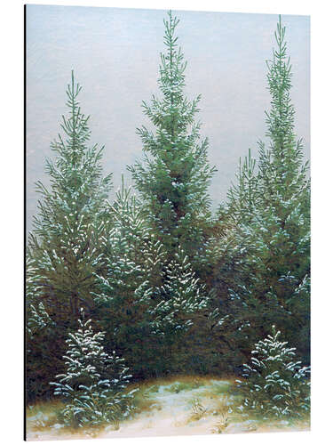 Aluminium print Fir Trees in Snow