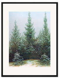 Gerahmter Kunstdruck Fichtendickicht im Schnee
