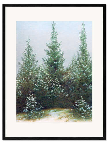 Gerahmter Kunstdruck Fichtendickicht im Schnee