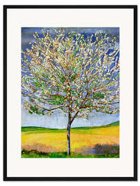 Gerahmter Kunstdruck Blühender Kirschbaum