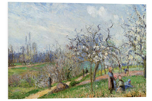 Foam board print Orchard in Blossom