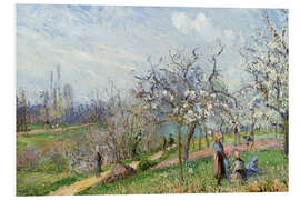 Foam board print Orchard in Blossom