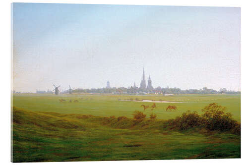 Akryylilasitaulu Meadows near Greifswald