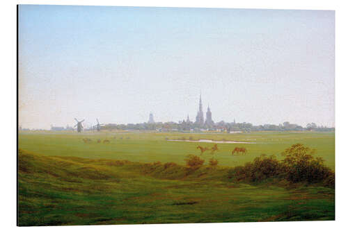 Tableau en aluminium Prairies près de Greifswald