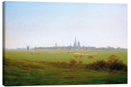 Tableau sur toile Prairies près de Greifswald