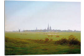 Gallery print Meadows near Greifswald