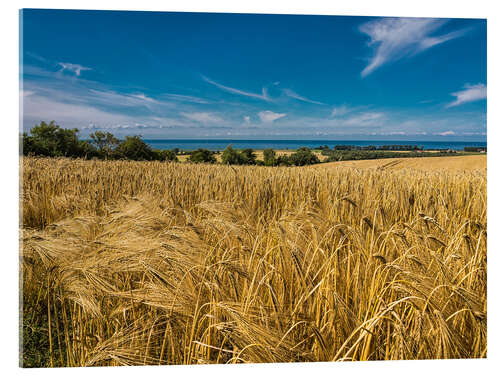 Acrylglas print Landscape with corn field and Baltic Sea