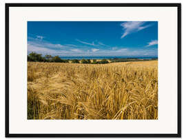 Gerahmter Kunstdruck Landschaft mit Getreidefeld und Ostsee