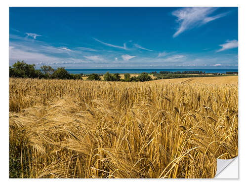 Naklejka na ścianę Landscape with corn field and Baltic Sea