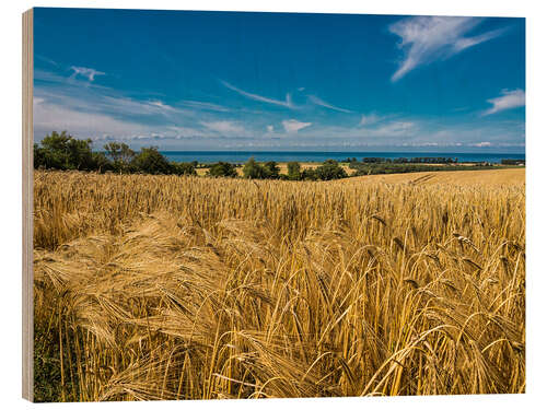 Wood print Landscape with corn field and Baltic Sea