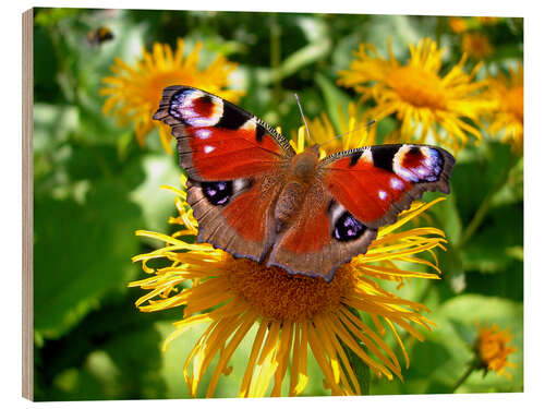 Wood print Peacock butterfly II