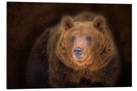 Magnettafel meister petz