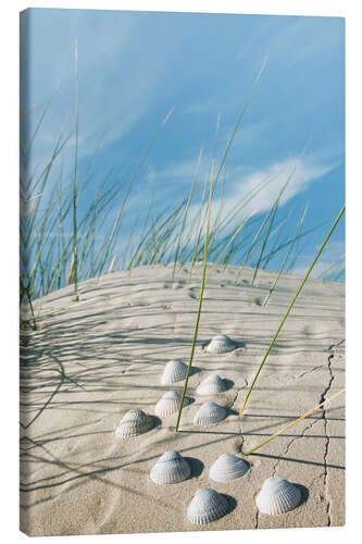 Leinwandbild Nordsee - Sanddüne mit Muscheln
