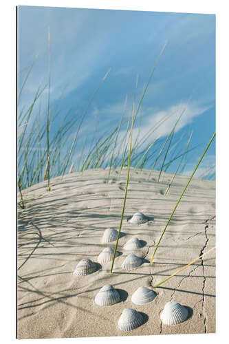 Gallery print Dune with sea shells