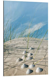 Magnettafel Nordsee - Sanddüne mit Muscheln