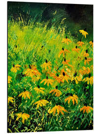 Aluminium print Rudbeckias