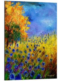 Aluminium print Cornflower field in autumn