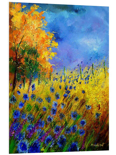 Foam board print Cornflower field in autumn