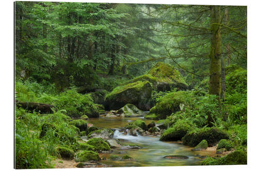 Tableau en plexi-alu Vert