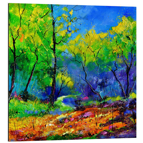 Aluminium print Enchanted forest