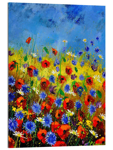 Gallery print Wild flowers in red and blue