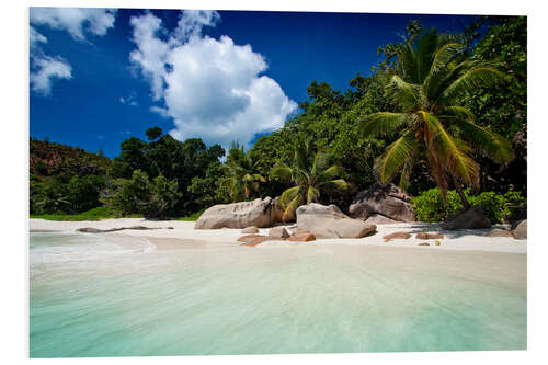 Foam board print Beautiful Beach Seychelles 3