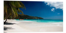 Foam board print Anse Lazio Seychelles beach 1