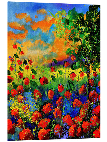 Acrylglasbild Mohnfeld in der Dämmerung