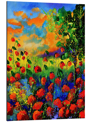 Aluminium print Field of poppies at dusk