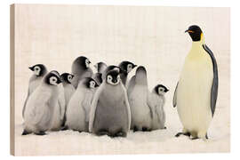 Puutaulu Emperor penguin with chicks