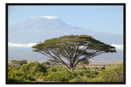 Gerahmter Kunstdruck Großer Baum vor dem Kilimanjaro