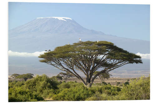 Hartschaumbild Großer Baum vor dem Kilimanjaro