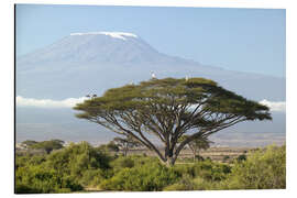 Magnettafel Großer Baum vor dem Kilimanjaro