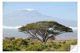 Wall sticker Big tree in front of the Kilimanjaro