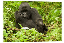 Foam board print Gorilla with baby in the green