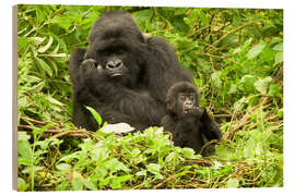 Holzbild Gorilla mit Baby im Grünen