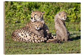 Holzbild Geparden Mutter und Babys