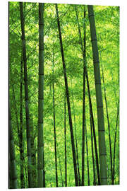 Magnettafel Bambuswald