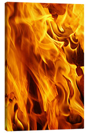 Canvas print Blazing fire