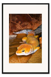 Gerahmter Kunstdruck Leopardgecko zwischen Blättern