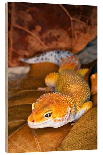 Holzbild Leopardgecko zwischen Blättern