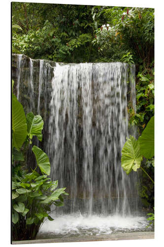 Alumiinitaulu Waterfall in the orchid garden